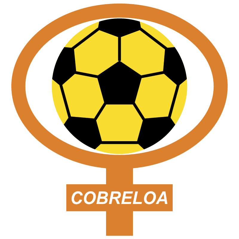 Cobreloa 7911 vector