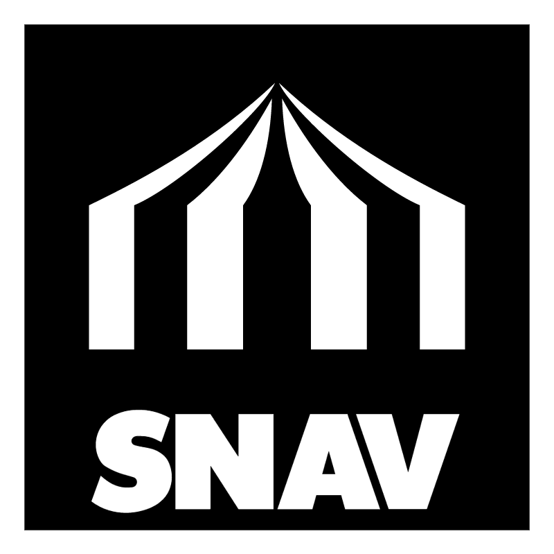 SNAV vector