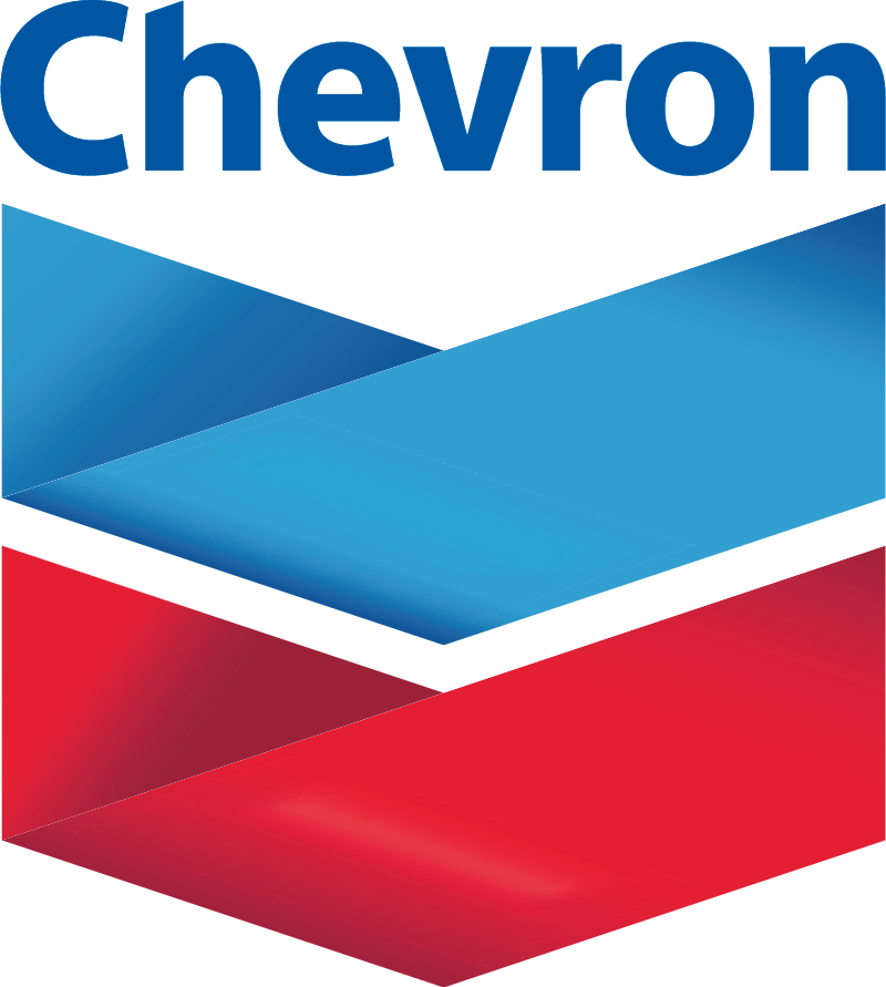 Chevron vector