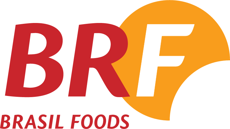Brasil Foods vector