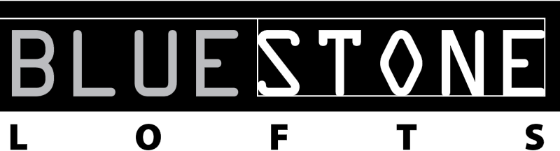 Blue Stone logo vector
