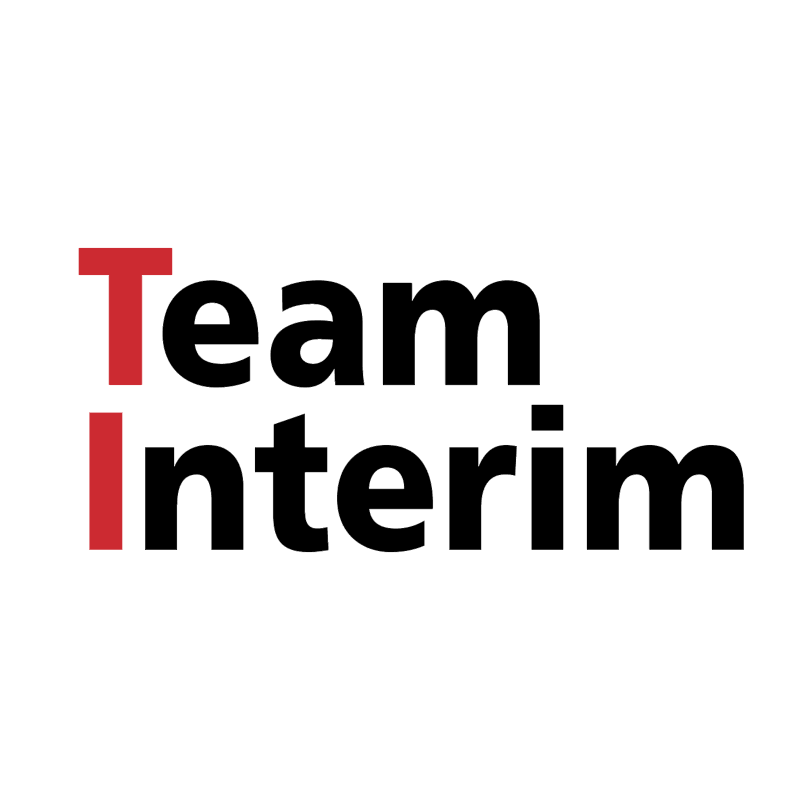 Team Interim vector