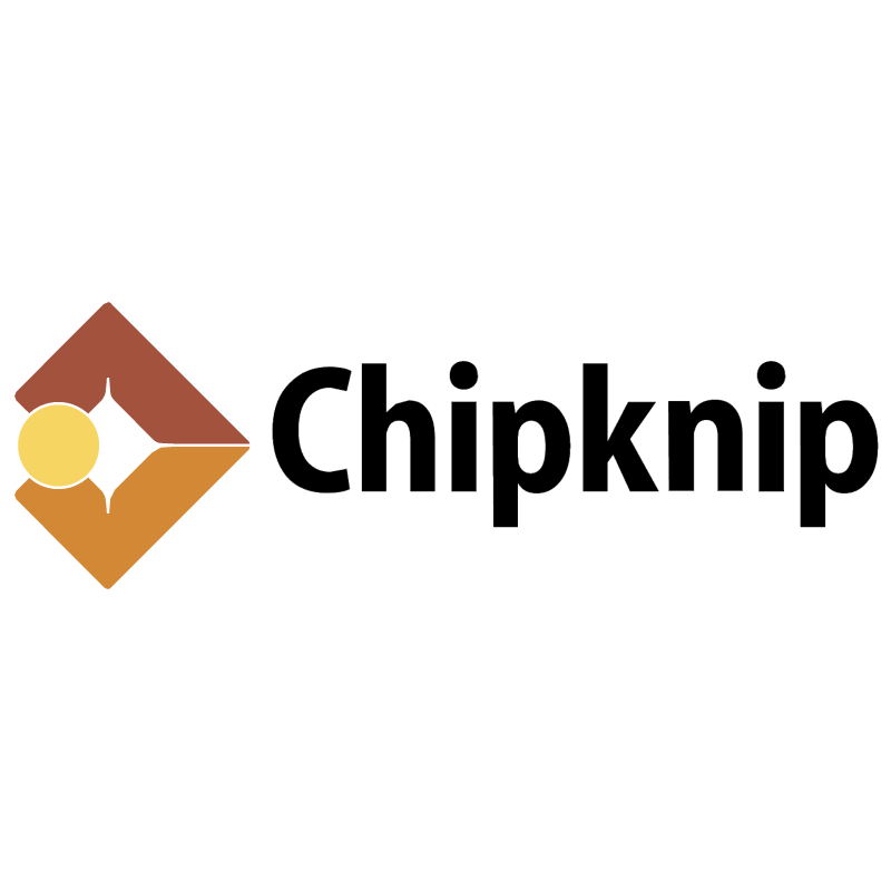 Chipknip vector