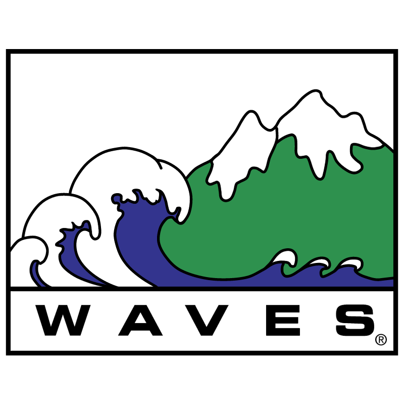 Waves vector