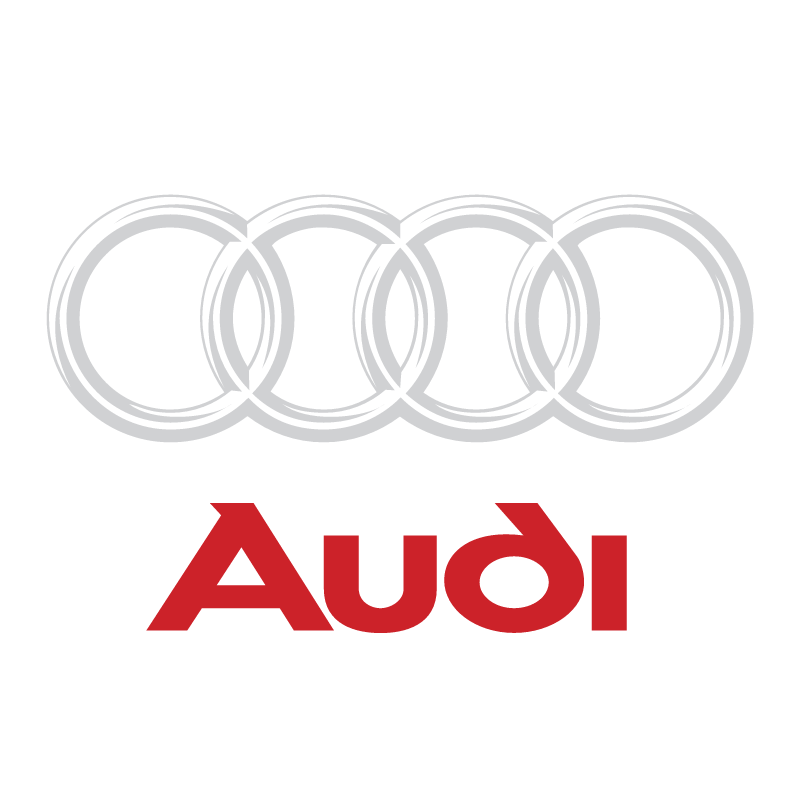 Audi vector