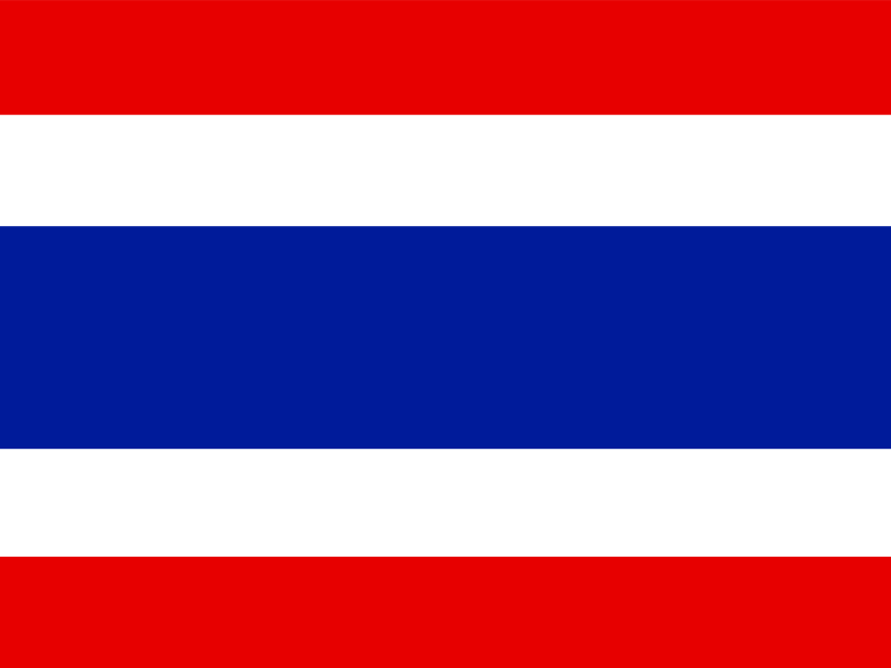 Flag of Thailand vector