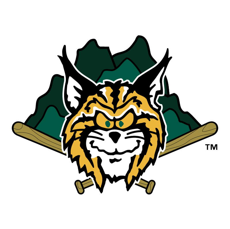Lynchburg Hillcats vector logo
