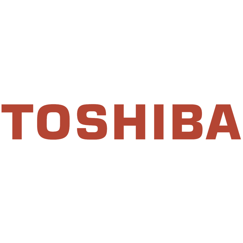 Toshiba vector