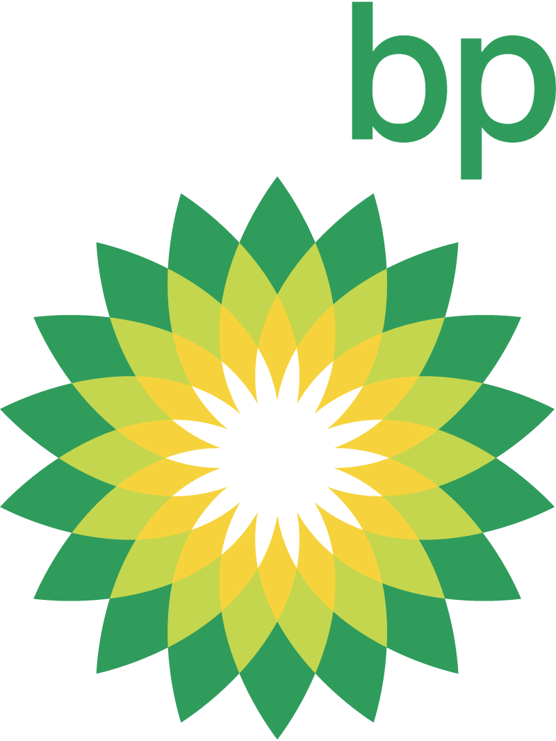 BP New vector