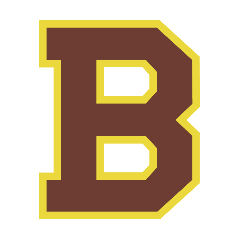 Boston Bruins vector logo
