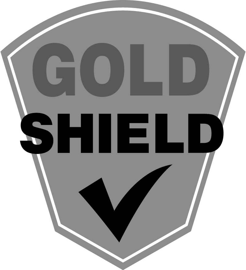 Gold Shield vector