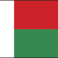 malagasy vector