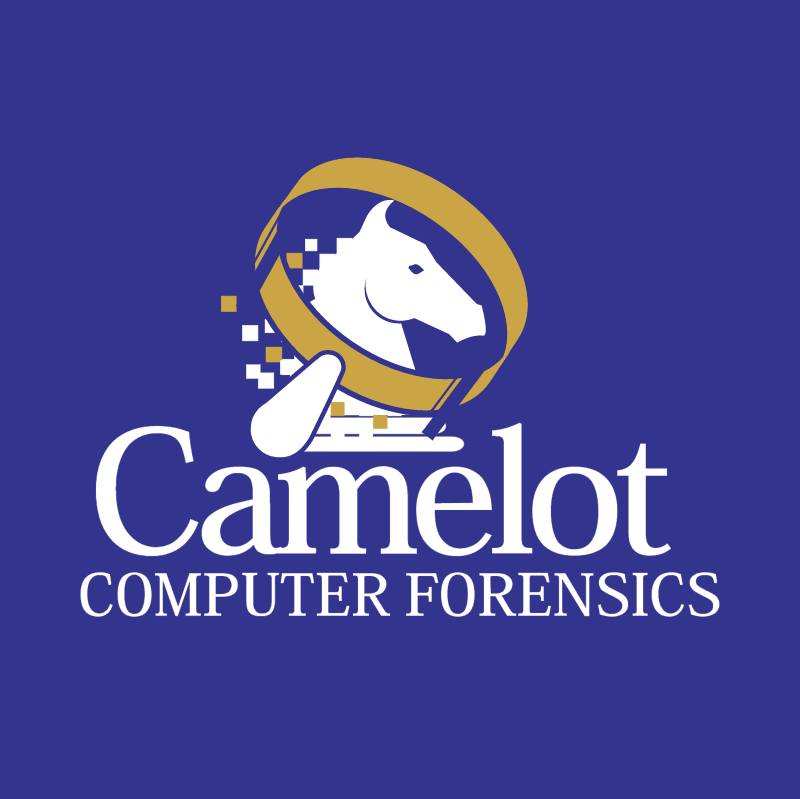 Camelot Computer Forensics vector