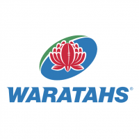 Waratahs vector