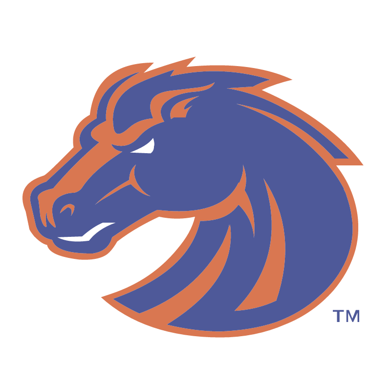 Boise State Broncos 76002 vector