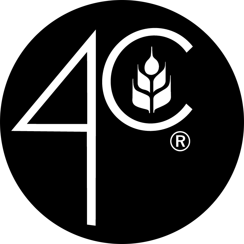 4C FOODS [Converted] vector logo