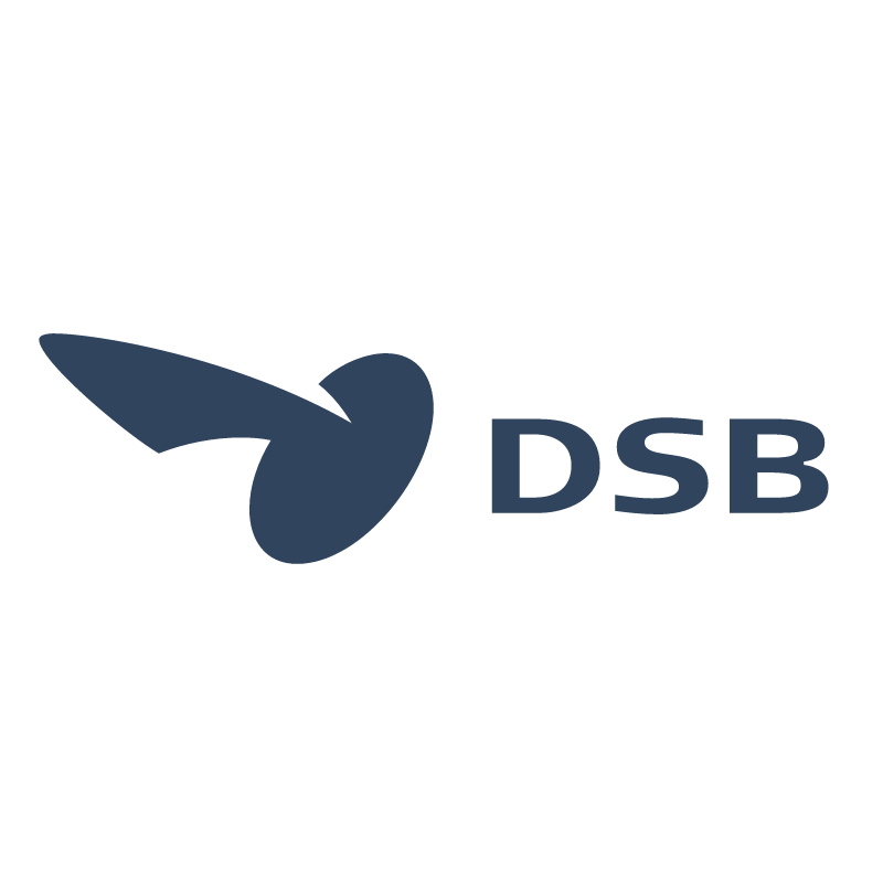 DSB vector