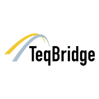 TeqBridge vector