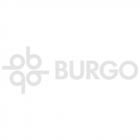 Burgo 20892 vector