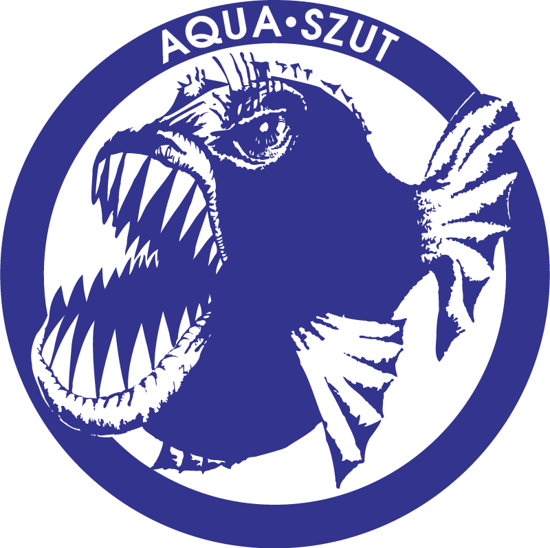 Aqua vector