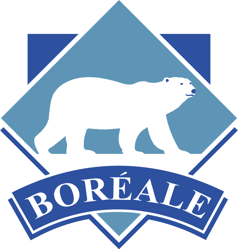 Boreal logo vector