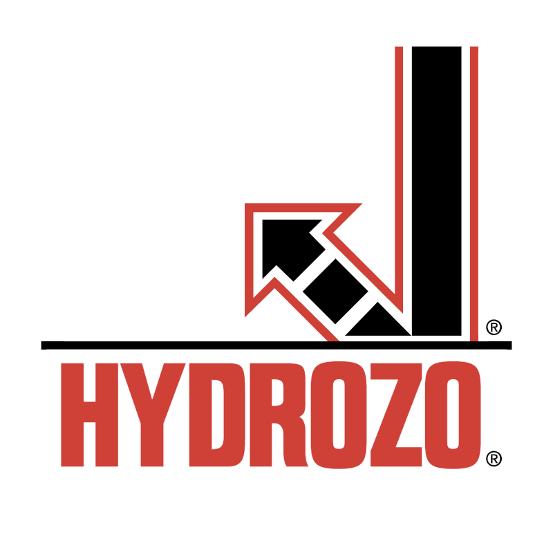 Hydrozo vector