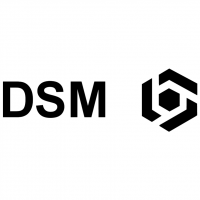 DSM vector
