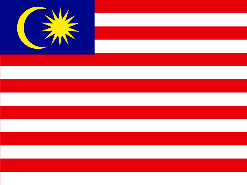 Flag of Malaysia vector