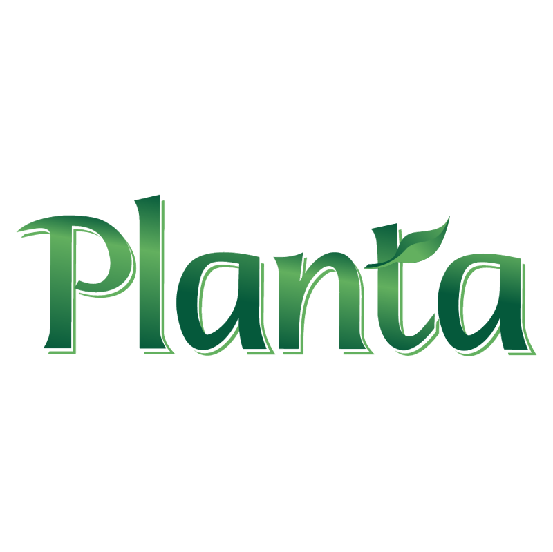 Planta vector