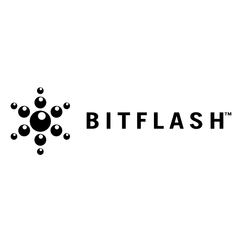 BitFlash 43453 vector