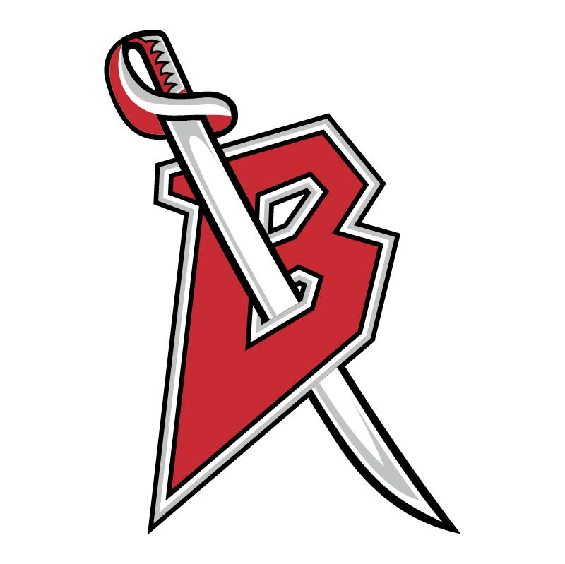 Buffalo Sabres 37557 vector logo