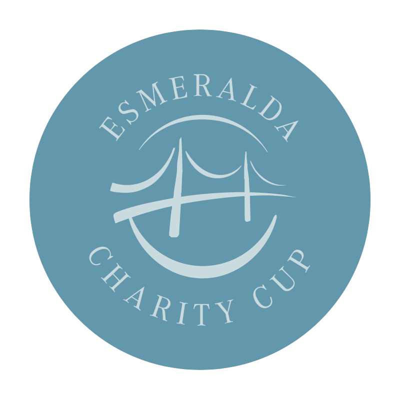 Esmeralda Charity Cup vector