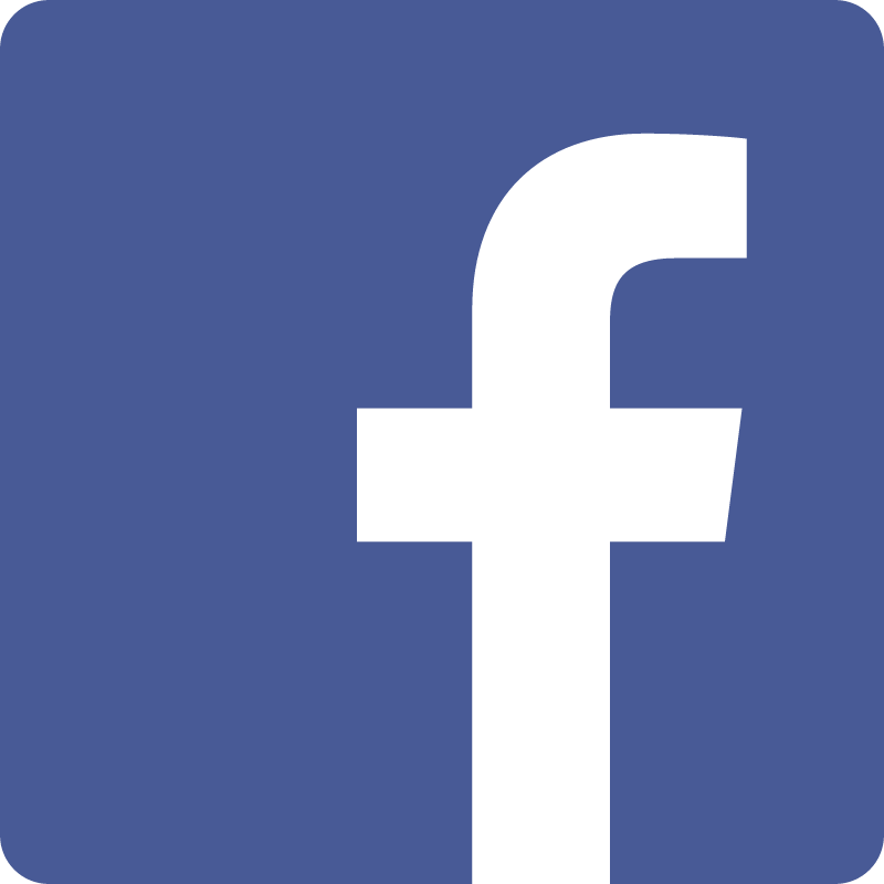 Facebook icon vector