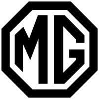 MG vector