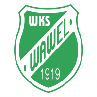 WKS Wawel Krakow vector
