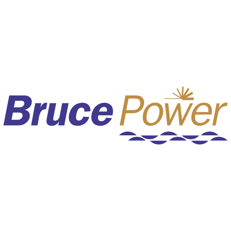 Bruce Power 21650 vector