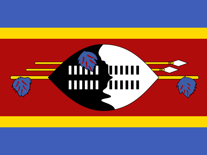 Flag of Swaziland vector