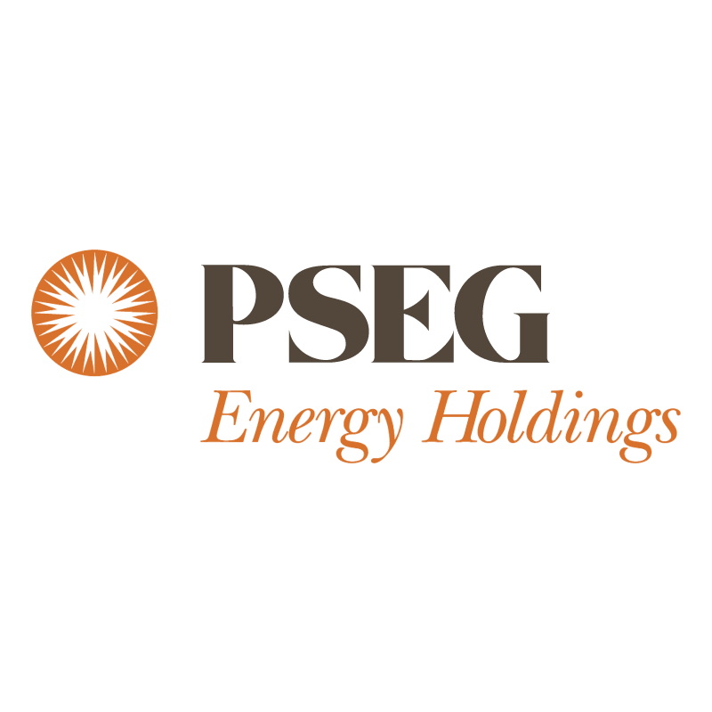 PSEG Energy Holding vector