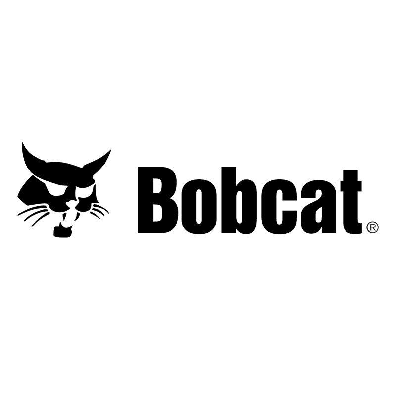 Bobcat vector