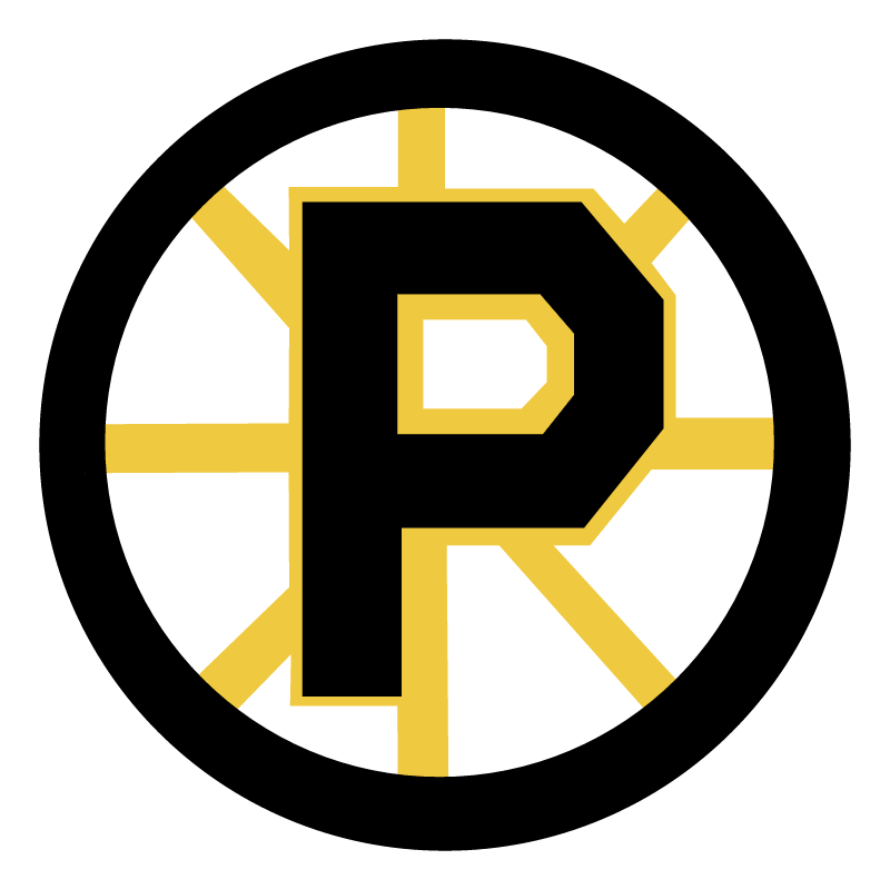 Providence Bruins vector