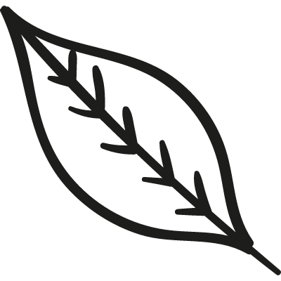 Fall Leaf vector logo