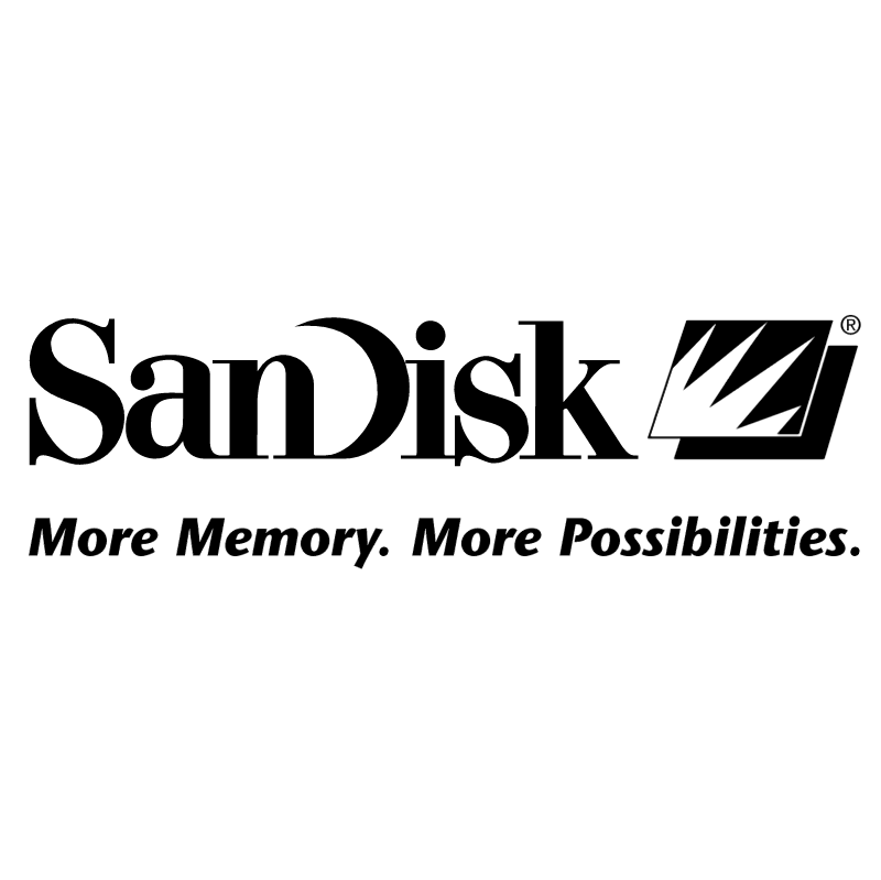 SanDisk vector