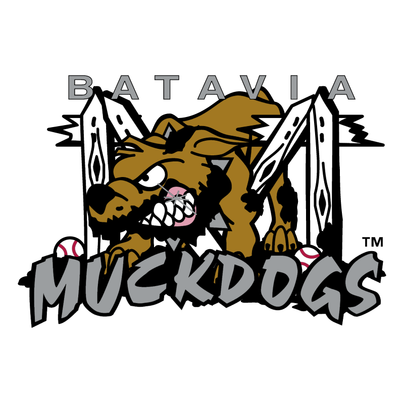 Batavia Muckdogs 58682 vector