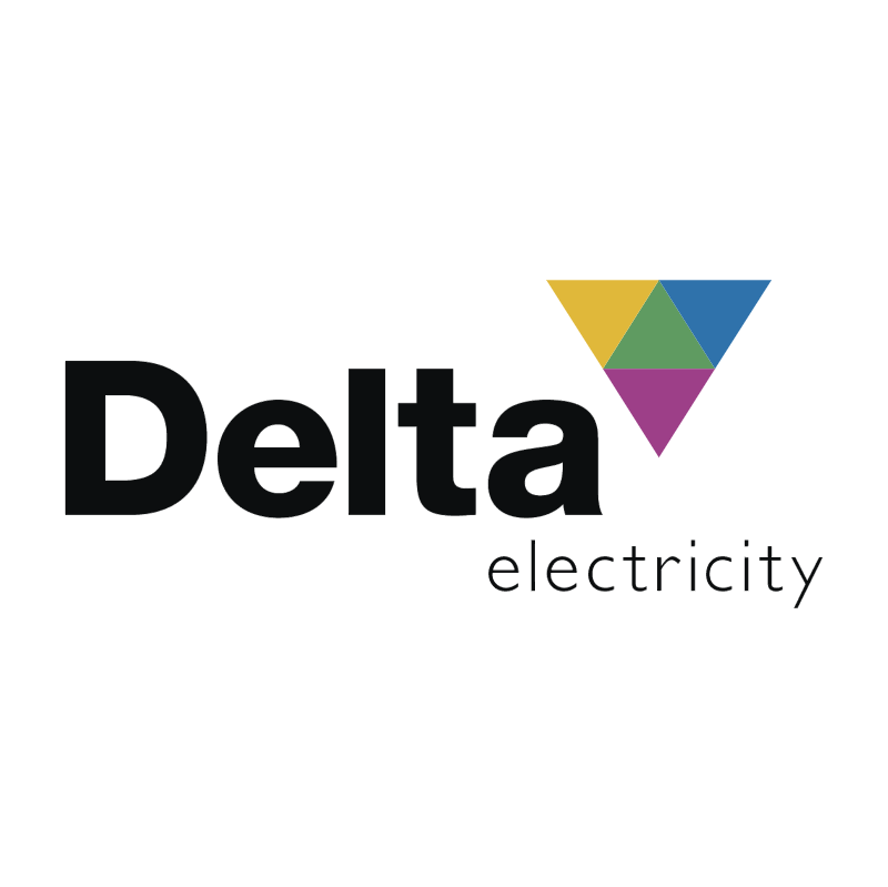 Delta Electricity vector