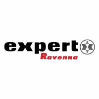 Expert Ravenna vector
