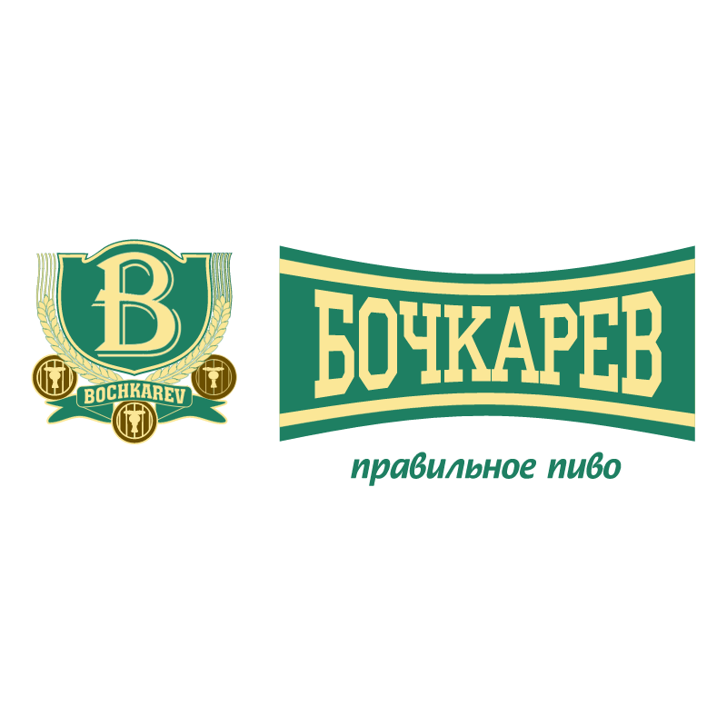 Bochkarev 65143 vector logo