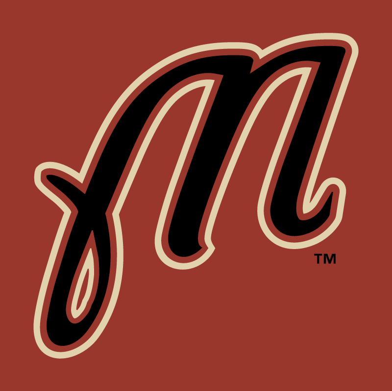 Martinsville Astros vector logo