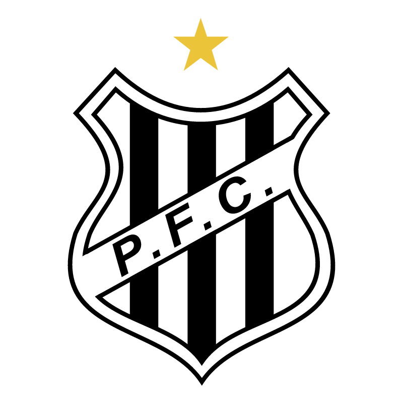 Palmeiras Futebol Clube de Sao Joao da Boa Vista SP vector