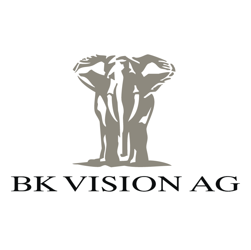 BK Vision vector