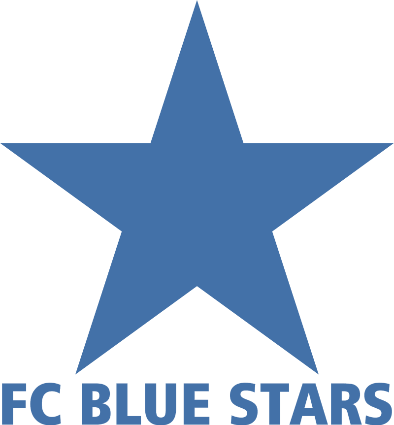 blue stars zurich vector